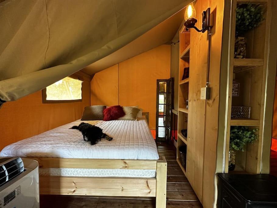 Hotel 12 Fires Luxury Glamping With Heating #5 Johnson City Zewnętrze zdjęcie